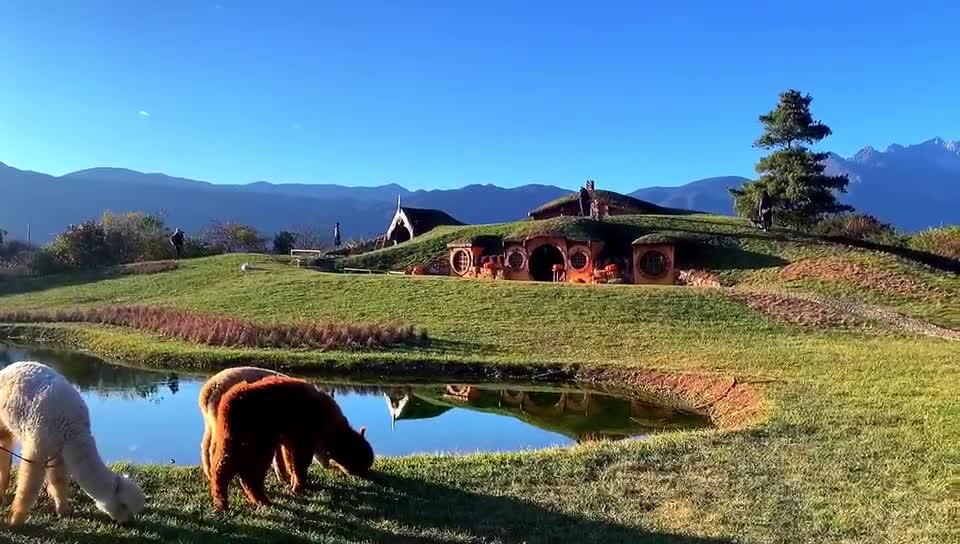 旅行风向标云南丽江听花谷一秒穿越新西兰雪山脚下的